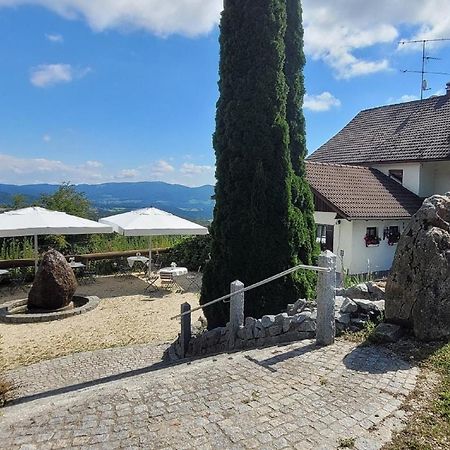 Landhaus Lehnerhof Schaufling エクステリア 写真