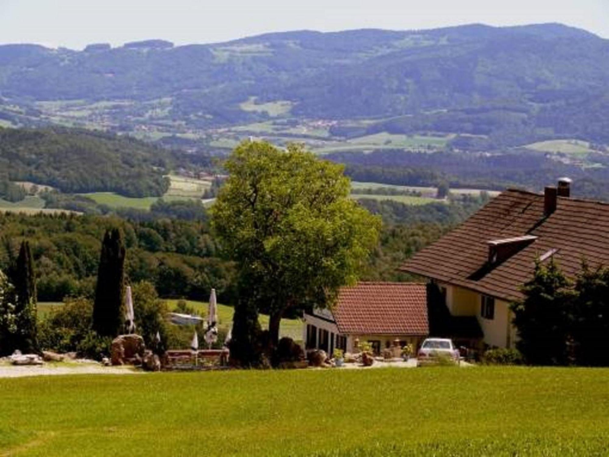Landhaus Lehnerhof Schaufling エクステリア 写真
